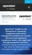 How catalystsecure.com looks like on a mobile device such as an iPhone.