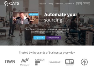 How catsone.com looks like on a tablet such as an iPad.
