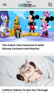 How cattime.com looks like on a mobile device such as an iPhone.