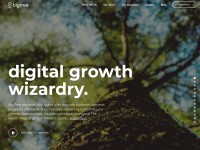 Desktop screenshot for bigtreeonline.com