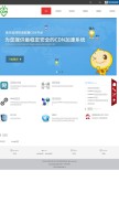 How cdnbest.com looks like on a mobile device such as an iPhone.