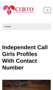 How cebto.com looks like on a mobile device such as an iPhone.