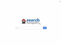 Desktop screenshot for searchincognito.com