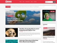 Desktop screenshot for oddee.com