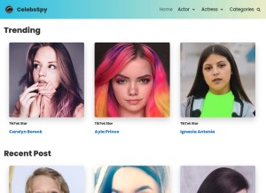 How celebsspy.com looks like on a tablet such as an iPad.