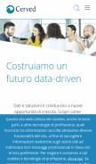 How cerved.com looks like on a mobile device such as an iPhone.