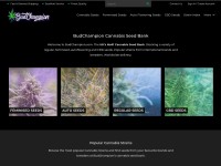 Desktop screenshot for budchampion.com