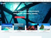 Desktop screenshot for padi.com