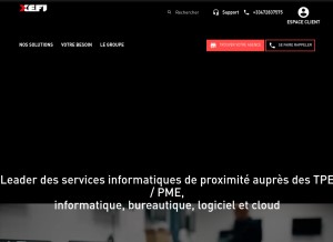 How cfi-lyon.com looks like on a tablet such as an iPad.