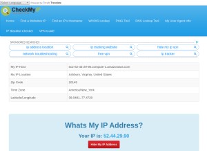 How checkmyip.com looks like on a tablet such as an iPad.
