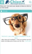 How chien.com looks like on a mobile device such as an iPhone.