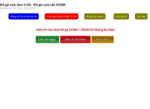 How choidaga.com looks like on a tablet such as an iPad.