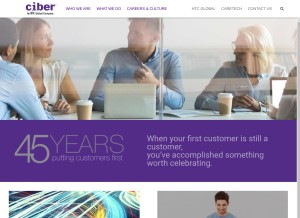 How ciber.com looks like on a tablet such as an iPad.