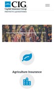 How ciginsurance.com looks like on a mobile device such as an iPhone.