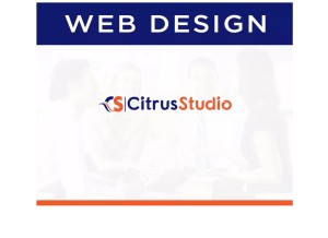 How citrusstudio.ca looks like on a tablet such as an iPad.