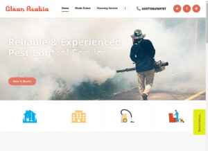 How cleanarabia.com looks like on a tablet such as an iPad.