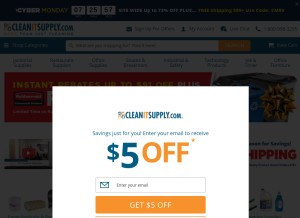 How cleanitsupply.com looks like on a tablet such as an iPad.