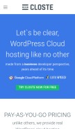 How closte.com looks like on a mobile device such as an iPhone.