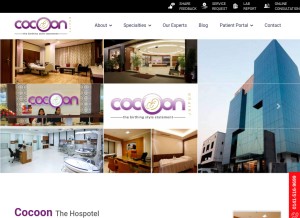 How cocoon.co.in looks like on a tablet such as an iPad.