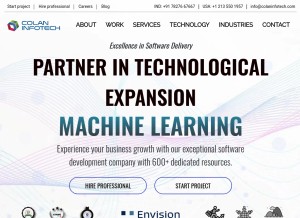 How colaninfotech.com looks like on a tablet such as an iPad.