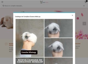 How conejoshermosos.com looks like on a tablet such as an iPad.