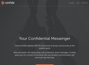 How confideapi.com looks like on a tablet such as an iPad.