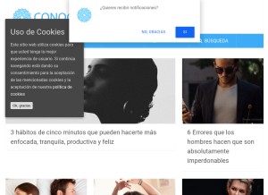 How conocermemas.com looks like on a tablet such as an iPad.