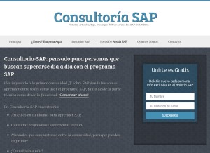 How consultoria-sap.com looks like on a tablet such as an iPad.
