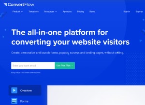 How convertflow.com looks like on a tablet such as an iPad.