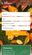 How cottage.ru looks like on a mobile device such as an iPhone.
