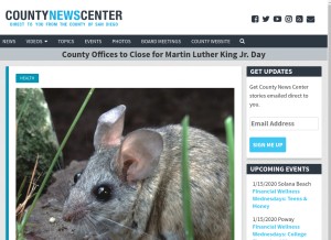 How countynewscenter.com looks like on a tablet such as an iPad.