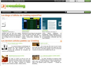 How cowblog.fr looks like on a tablet such as an iPad.