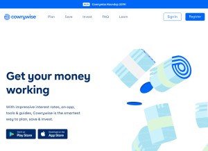How cowrywise.com looks like on a tablet such as an iPad.