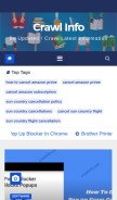 How crawlinfo.com looks like on a mobile device such as an iPhone.