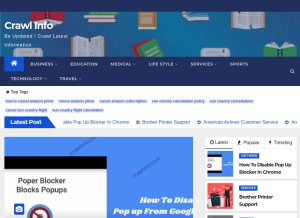 How crawlinfo.com looks like on a tablet such as an iPad.