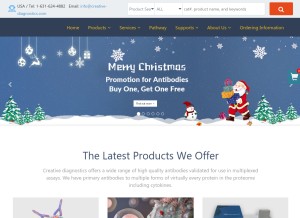 How creative-diagnostics.com looks like on a tablet such as an iPad.