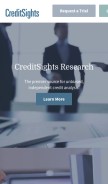 How creditsights.com looks like on a mobile device such as an iPhone.