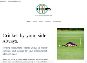 How cricbys.com looks like on a tablet such as an iPad.