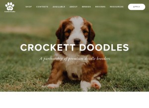 How crockettdoodles.com looks like on a tablet such as an iPad.