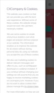 How cxcompany.com looks like on a mobile device such as an iPhone.