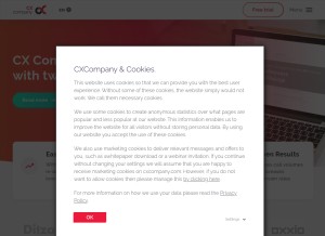 How cxcompany.com looks like on a tablet such as an iPad.