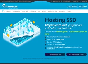 How cyberneticos.net looks like on a tablet such as an iPad.