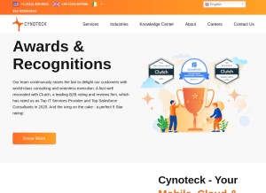 How cynoteck.com looks like on a tablet such as an iPad.