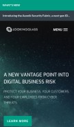 How cyveillance.com looks like on a mobile device such as an iPhone.