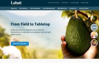 Desktop screenshot for labattfood.com