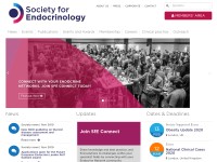 Desktop screenshot for endocrinology.org