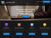 Desktop screenshot for esconsult.net