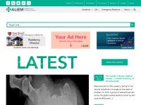 Desktop screenshot for aliem.com