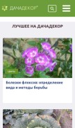 How dachadecor.ru looks like on a mobile device such as an iPhone.