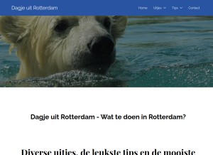 How dagje-uit-rotterdam.nl looks like on a tablet such as an iPad.